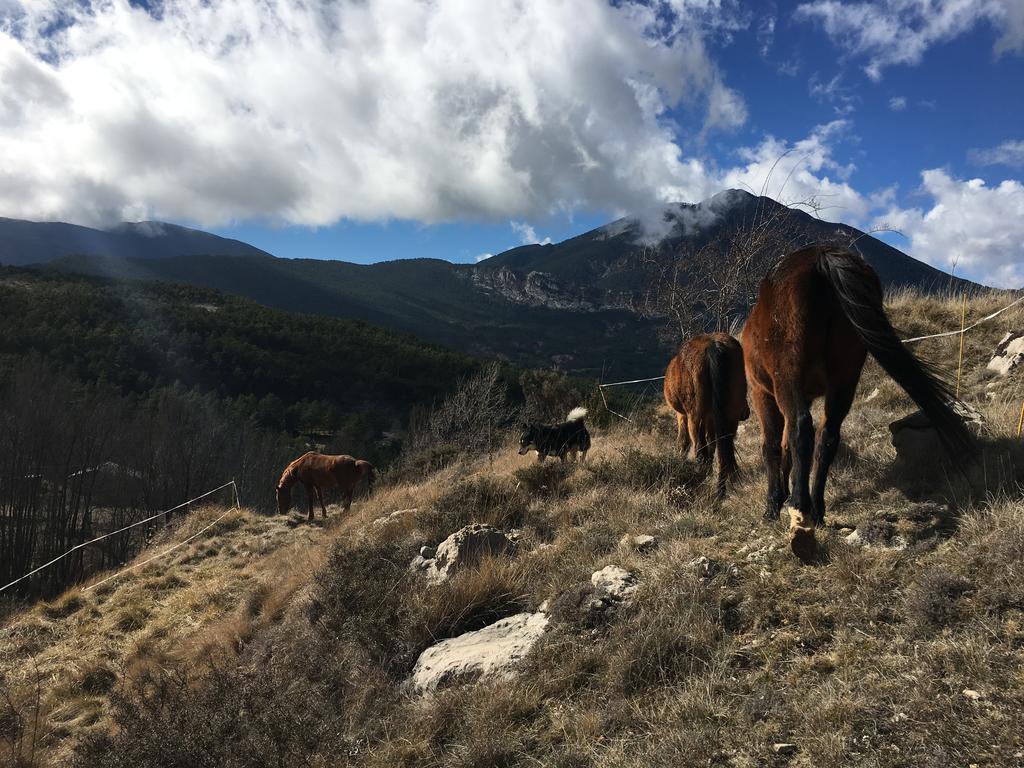 El Jou Nature Sant Corneli Exterior photo