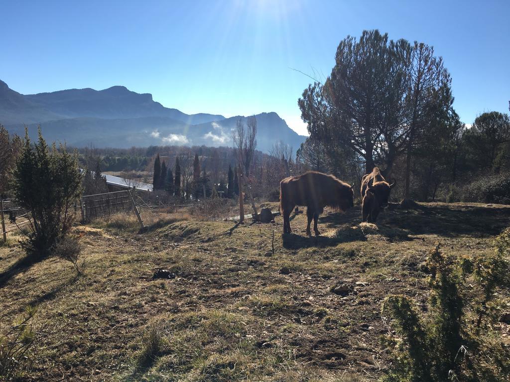 El Jou Nature Sant Corneli Exterior photo